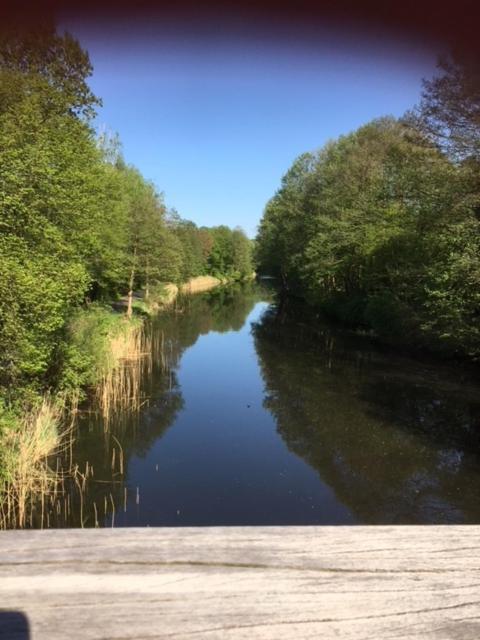 Ferienappartement Am See III Schorfheide Zewnętrze zdjęcie